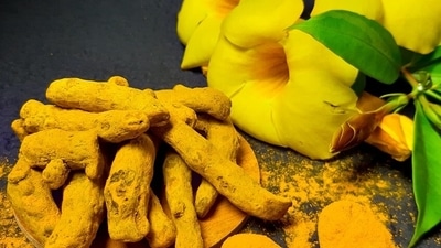 Tumeric Powder: The haldi in your kitchen has anti-bacterial properties and it prevents inflammation. Mix turmeric powder with mustard oil to make a paste. Apply it every night before going to bed. (Unsplash) Tumeric Powder: The haldi in your kitchen has anti-bacterial properties and it prevents inflammation. Mix turmeric powder with mustard oil to make a paste. Apply it every night before going to bed. (Unsplash)
