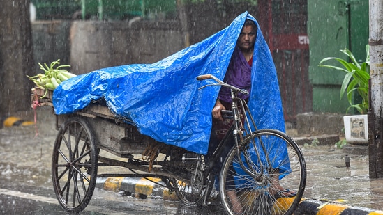A woman vegetable vendor takes shelter under a plastic sheet during heavy rain in New Delhi on August 31.(PTI)
