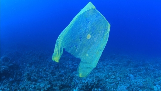 Ganges and Mekong river basins together contribute an estimated 200,000 tonnes of plastic pollution to the Indian Ocean and the Pacific Ocean every year.(Wikimedia Commons)