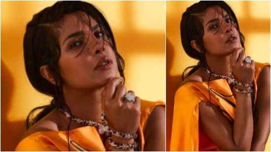 During an interview with the magazine, Priyanka Chopra said that she has built a solid career in Hindi movies but hasn't done that in America yet so she wishes to have a career like that in Hollywood.(Instagram/@priyankachopra)