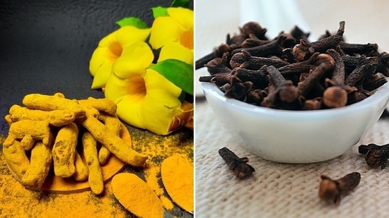 Toothaches can be quite a trouble whether they are dull or sharp in nature. Here are simple home remedies to try if you are not able to reach your dentist immediately.(Unsplash, Instagram)