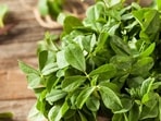 Indian greens are more nutritious than you think.