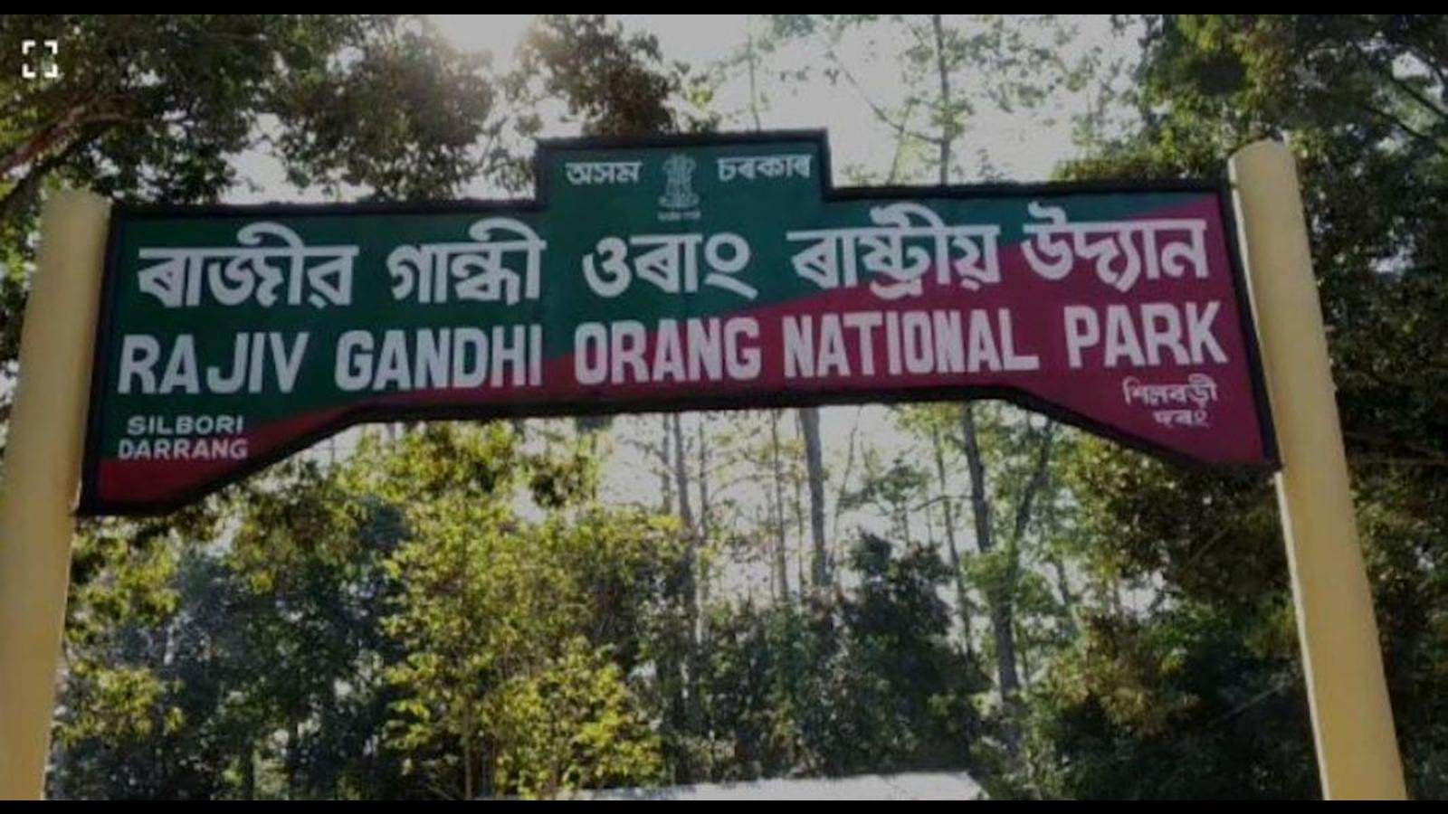 Asom Park Xxx Vedeo - Assam cabinet decides to remove Rajiv Gandhi's name from Orang national park  | Latest News India - Hindustan Times