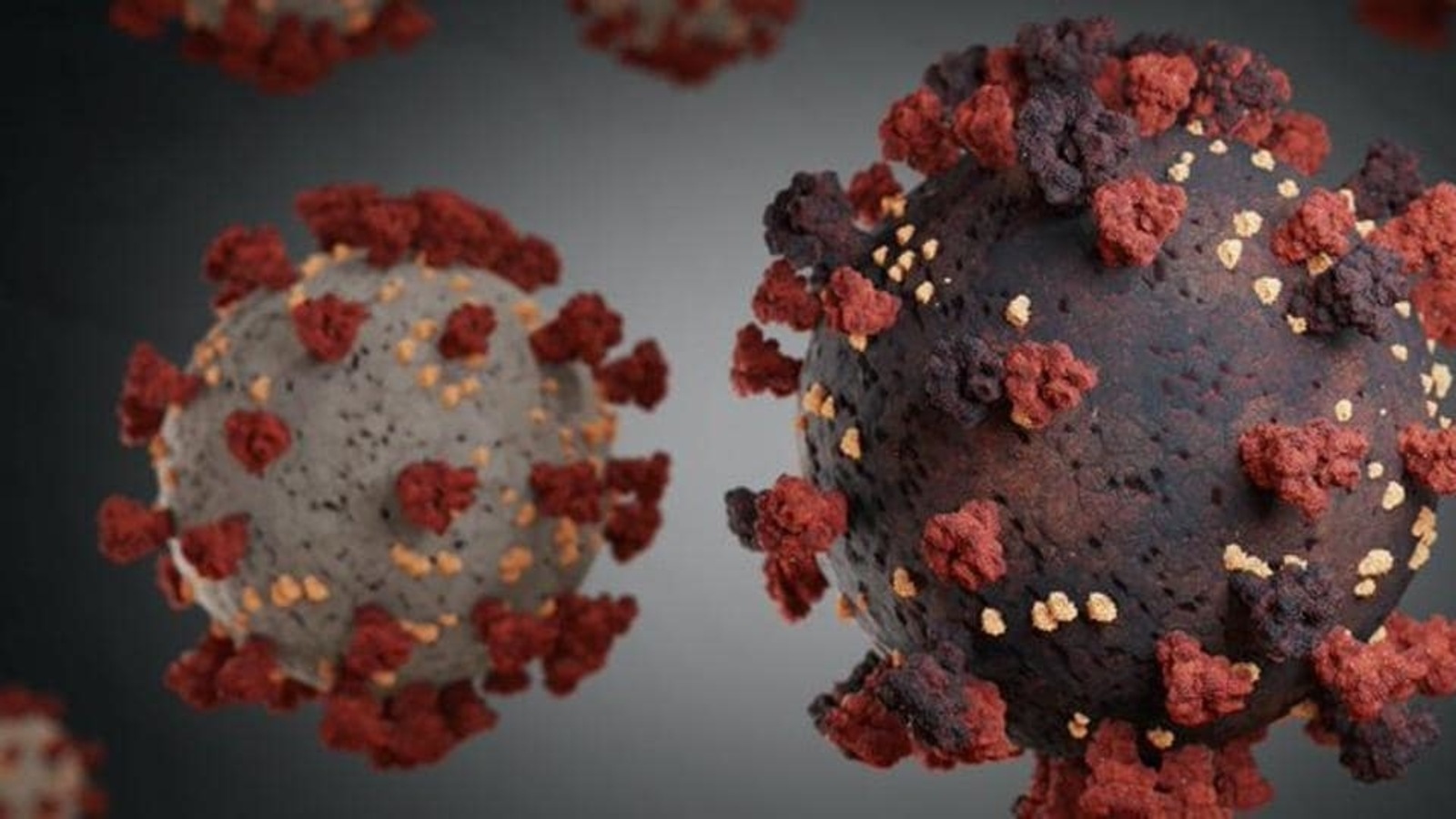 What Is Mu Variant Of Covid Which Is Under Who Monitoring At Present World News Hindustan Times