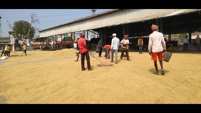 As per the figures of the All India Rice Exporters Association, the country’s export of basmati rice has improved to 46,31,531 MT in 2020-21 from 44,54,656 MT in 2019-20. (HT Photo) As per the figures of the All India Rice Exporters Association, the country’s export of basmati rice has improved to 46,31,531 MT in 2020-21 from 44,54,656 MT in 2019-20. (HT Photo)