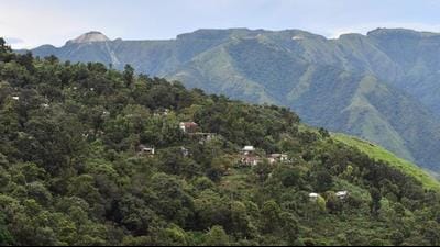 In the Indo-Malaya region, which covers India, 41 tree species are extinct, the highest globally compared to other regions. (File photo) In the Indo-Malaya region, which covers India, 41 tree species are extinct, the highest globally compared to other regions. (File photo)