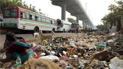 EcoGreen is covering around 50% of houses in the city, but there are complaints about workers not collecting waste (File Photo) EcoGreen is covering around 50% of houses in the city, but there are complaints about workers not collecting waste (File Photo)