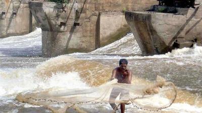 A fisherman catches fish in Krishna river. (File photo)