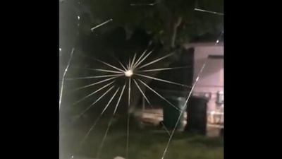 The image taken from the video show the spider weaving a web. (Screengrab)