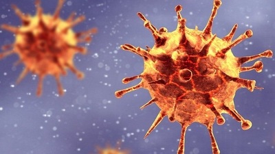 An alert was still issued by the South African institute since the C.1.2 variant is reported to contain a few "key mutations" (Representational Image) An alert was still issued by the South African institute since the C.1.2 variant is reported to contain a few "key mutations" (Representational Image)