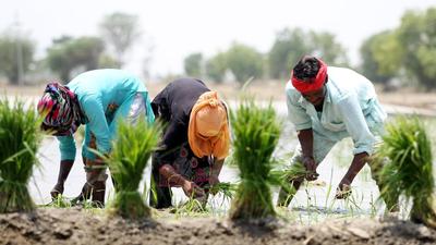 On August 20, the administration had announced that the state government had waived the loan of 1,225 beneficiaries of Dharamkot constituency, 3,448 of Baghapurana constituency, 2,646 of Moga constituency and 10,067 of Nihal Singh wala constituency. (HT File Photo) On August 20, the administration had announced that the state government had waived the loan of 1,225 beneficiaries of Dharamkot constituency, 3,448 of Baghapurana constituency, 2,646 of Moga constituency and 10,067 of Nihal Singh wala constituency. (HT File Photo)