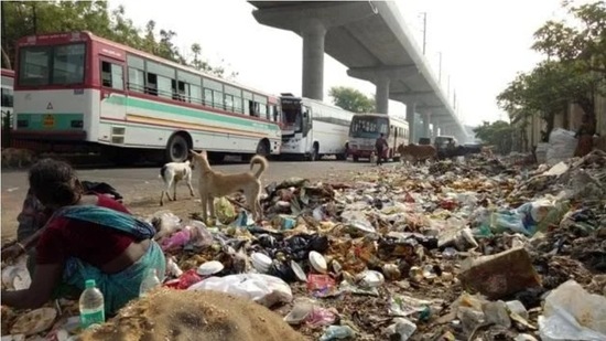 EcoGreen is covering around 50% of houses in the city, but there are complaints about workers not collecting waste (File Photo) EcoGreen is covering around 50% of houses in the city, but there are complaints about workers not collecting waste (File Photo)
