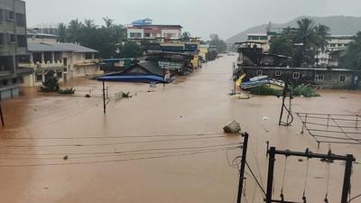 Even though experts were alarmed at the scale of these losses, they emphasized that the real cost of climate change-induced disasters are intangible. (HT File)