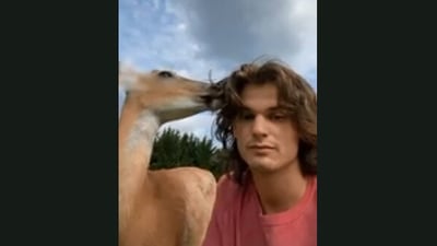 The image shows a pet deer and its human. (Jukin Media)