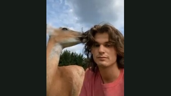The image shows a pet deer and its human.(Jukin Media)