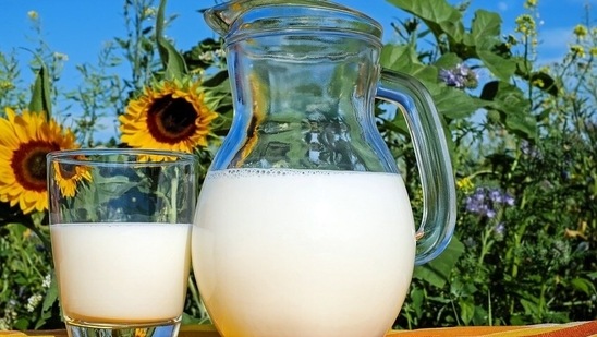 Milk: One must not forget the basics and have a glass of milk everyday before going to bed. Milk being a complete food takes care of the energy requirements and also boosts immunity. It keeps health problems at bay being rich in vitamins and minerals that are important for the body.(Pixabay)