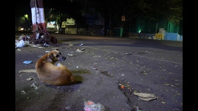 Image for representation purpose only. (HT photo)