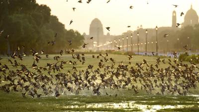 Scientists also found that levels of nitrogen dioxide reduced by 55% during the lockdown period in Delhi (Arvind Yadav/HT PHOTO) Scientists also found that levels of nitrogen dioxide reduced by 55% during the lockdown period in Delhi (Arvind Yadav/HT PHOTO)