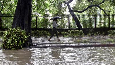 A man walks under an umbrella along a waterlogged road near Delhi high court during rains in New Delhi on Thursday. (PTI)