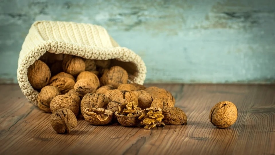 Walnuts(Pixabay)