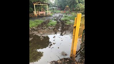 Wastewater and muck welcome visitors to this park in Sector 39 on Chandigarh Road. (HT Photo)