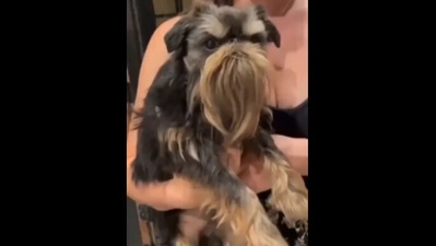 The video has prompted people to share various reactions. (Reddit/@aww)