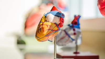 Gut and heart signals affect how we feel about our appearance: Study (Unsplash) Gut and heart signals affect how we feel about our appearance: Study (Unsplash)