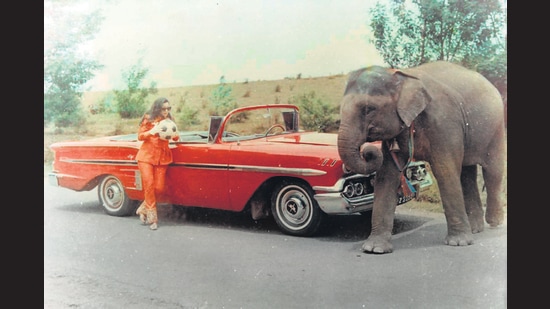 Tanuja, dressed to match her character’s Chevrolet Impala, in Haathi Mere Saathi (1971).