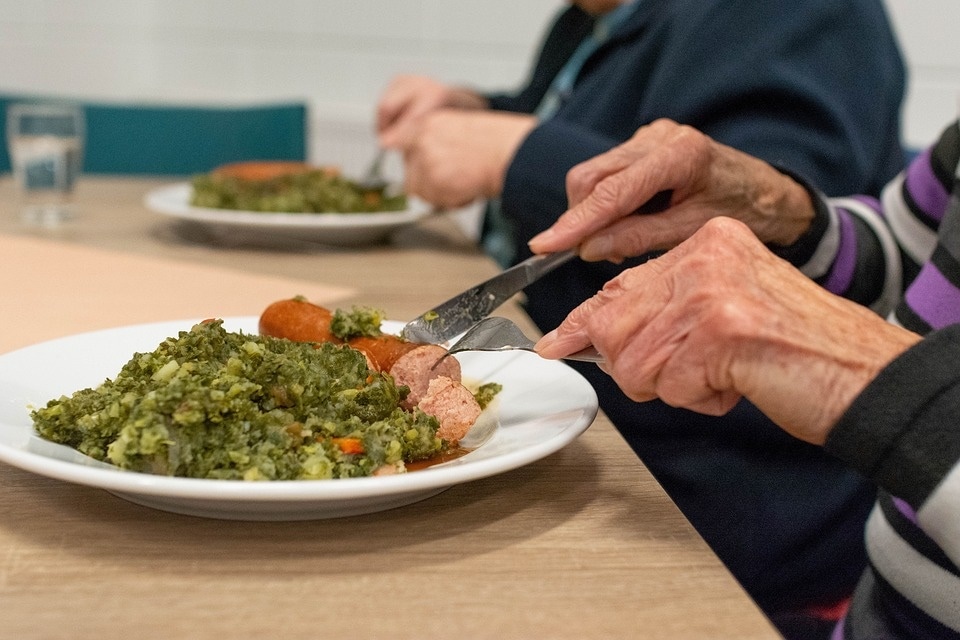 노인의 식단은 영양소가 풍부해야 합니다(Pixabay)