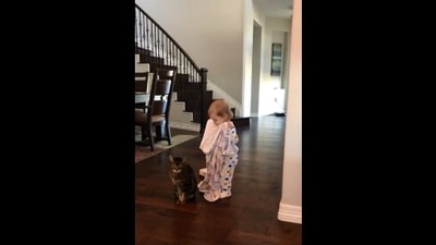 The image shows the kid standing behind the cat with a blanket. (Reddit/@unnaturalorder)