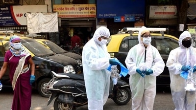 An association of Pteropus medius bats led to the Nipah virus disease outbreak in Kerala in 2018. (Satish Bate/HT Photo) An association of Pteropus medius bats led to the Nipah virus disease outbreak in Kerala in 2018. (Satish Bate/HT Photo)