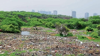 The Solid Waste Management Rules require segregation, composting and recycling. Neither Faridabad nor Gurugram follows this. (HT Photo) The Solid Waste Management Rules require segregation, composting and recycling. Neither Faridabad nor Gurugram follows this. (HT Photo)