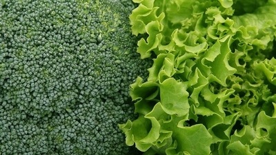 Always keep the base as a mix of various salad leaves, like arugula, romaine, Iceberg lettuce and baby spinach. Most of them are easily available in grocery stores or any organic store or vendor. Wash them thoroughly and tear them by hand. Never chop them. (Pixabay)