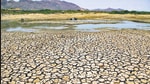 Temperatures pass 50 degrees Celsius in northern India as an unrelenting heatwave triggered warnings of water shortages and heatstroke. (AFP) Temperatures pass 50 degrees Celsius in northern India as an unrelenting heatwave triggered warnings of water shortages and heatstroke. (AFP)