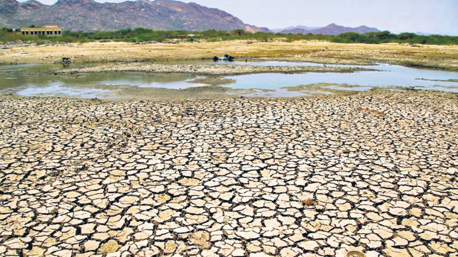 29% Of India Is Witnessing Dry Weather, Shows IIT Study | Latest News ...