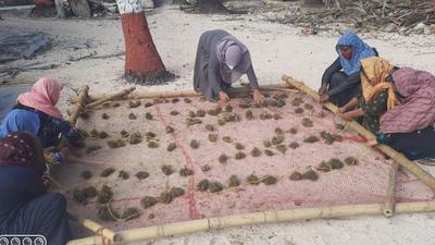 It is planning a production of about 30,000 tonnes worth  ₹7.5 million in a year. (HT photo)
