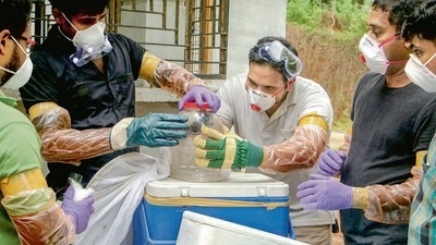 A Nipah virus outbreak was reported in the Kozhikode and Malappuram districts of Kerala in 2018. (File Photo) A Nipah virus outbreak was reported in the Kozhikode and Malappuram districts of Kerala in 2018. (File Photo)