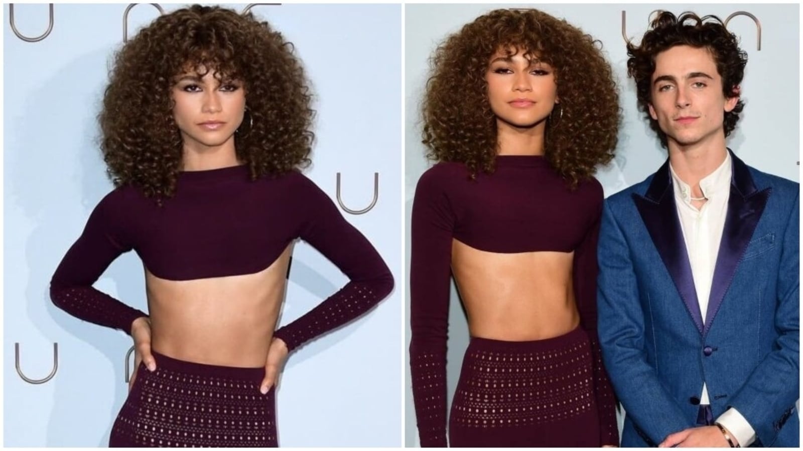 Zendaya brings the ultimate drama to Dune Paris premiere in plum ...