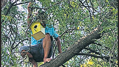 A resident of Life Republic Society, Marunji, Hinjewadi places a bird house in a tree. (HT) A resident of Life Republic Society, Marunji, Hinjewadi places a bird house in a tree. (HT)
