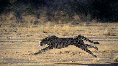 Representational image. (LightRocket via Getty Images) Representational image. (LightRocket via Getty Images)