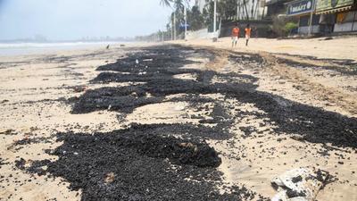 Experts and citizens said the problem needs an urgent fix to curb the impact on marine ecology and public health. (HT File) Experts and citizens said the problem needs an urgent fix to curb the impact on marine ecology and public health. (HT File)