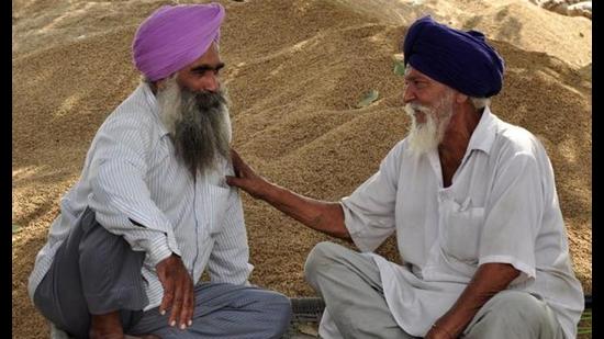 A total of 191 lakh tonne paddy is expected to arrive for procurement in Punjab’s grain markets this season. Stringent steps will be taken to stop arrival of paddy from other states so that Punjab’s cash credit limit burden could be curtailed. (HT photo)