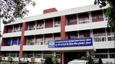 One of the departments at Guru Angad Dev Veterinary and Animal Sciences University (GADVASU) has been bifurcated into the department of fisheries and the department of animal husbandry and dairying. (HT file)