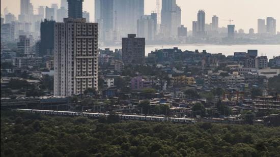 A staggering 71% of the city’s greenhouse emissions can be attributed to the energy sector. Mangroves, wetlands and urban greenery outside of protected areas forest are Mumbai’s natural carbon sinks. (For representation)