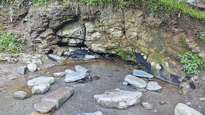 Natural spring in Bavdhan in Pune. Residents and environmentalists allege PMC has not taken enough steps to conserve it. (MILIND SAURKAR/HT) Natural spring in Bavdhan in Pune. Residents and environmentalists allege PMC has not taken enough steps to conserve it. (MILIND SAURKAR/HT)