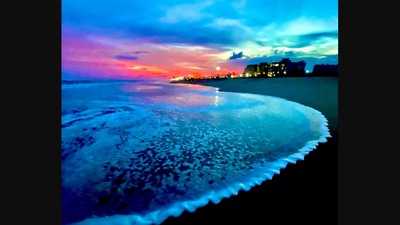 The image shows Puri beach located in Odisha. (Twitter/@sudarsansand)