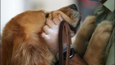 Representational image. (REUTERS) Representational image. (REUTERS)
