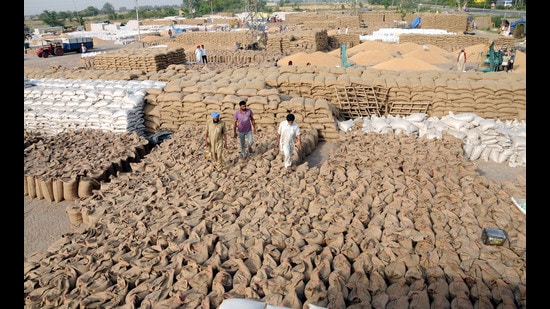 The Centre hiked the MSP for wheat, a rabi season crop, by <span class='webrupee'>₹</span>40 per quintal. (HT Photo) The Centre hiked the MSP for wheat, a rabi season crop, by <span class='webrupee'>₹</span>40 per quintal. (HT Photo)