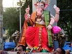 The immersion of idols in lakes has been band.(HT Photo) The immersion of idols in lakes has been band.(HT Photo)