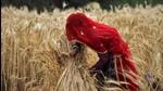 Representational image (REUTERS) Representational image (REUTERS)